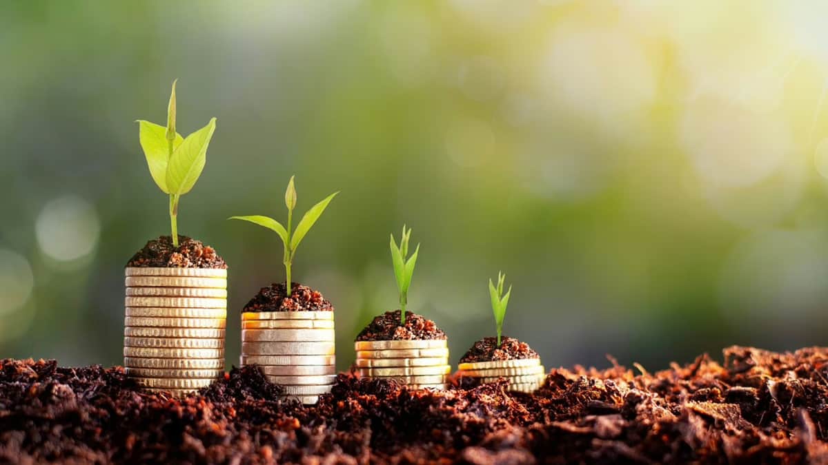 Desenrola Rural já está valendo! Veja como quitar suas dívidas