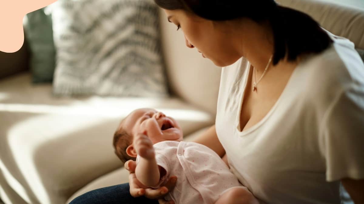 Licença-Maternidade