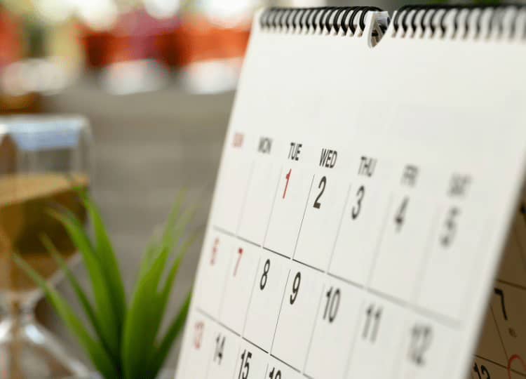 Calendário Bolsa Família