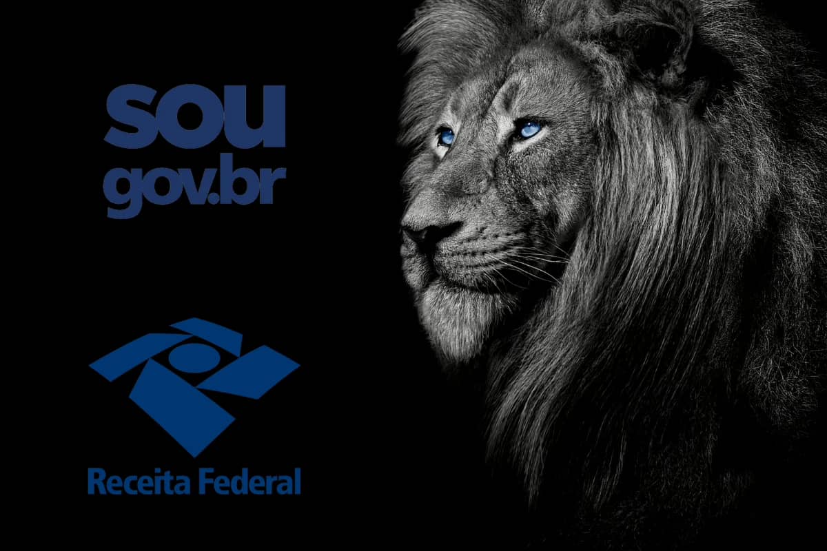 Declaração do IR 2025: Os erros que podem te colocar na malha fina!